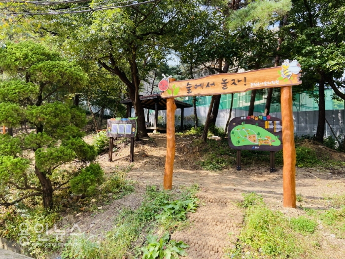수지구 동천동에 열 한번째 유아숲체험원 조성